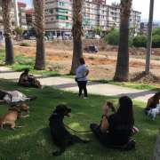 Alba Toja - EllaAdiestra - Carmona - Entrenamiento de animales y modificación de la conducta (no caninos)