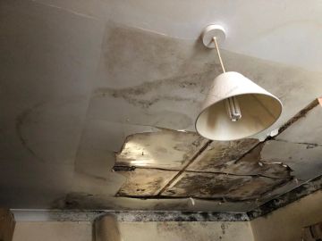 Mold Inspection and Removal