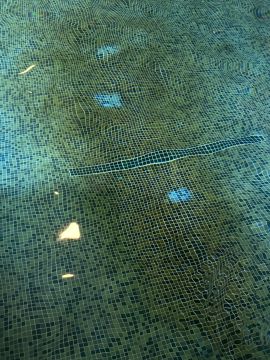 Dienstleister für Swimmingpools (Reinigung)