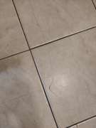 Tile Repair