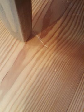 Hardwood Floor Repair or Partial Replacement