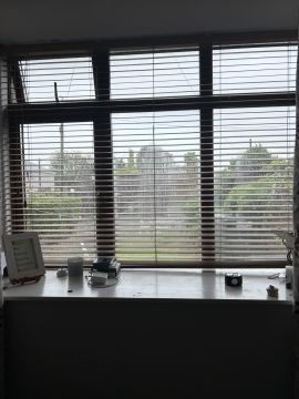 Fensterrollos