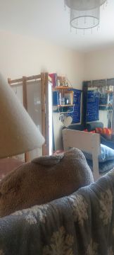 Sound Proofing