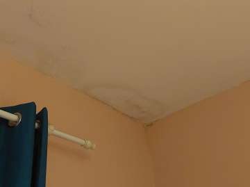 Mold Inspection and Removal - Cleaning