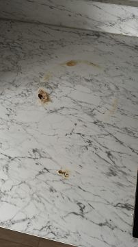 Countertop Repair or Maintenance