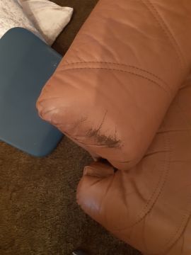 Leatherworker - Home Improvements