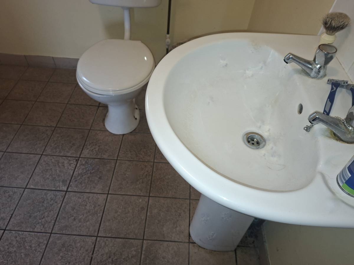 Waterford Sitters - Waterford - Bodenreinigung