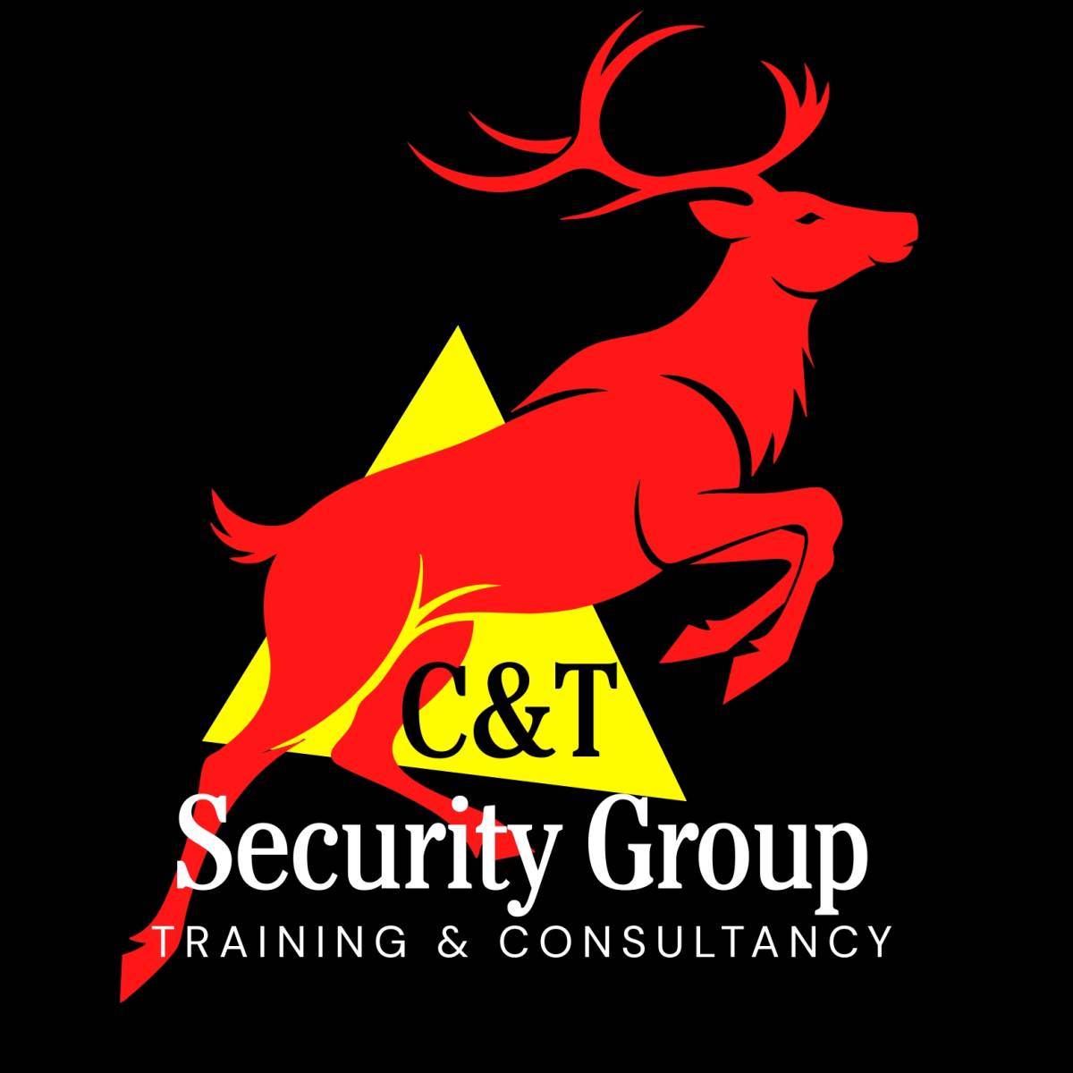 C&T Security Group Training and Consultancy Teoranta - Carlow - Event Bouncer Services