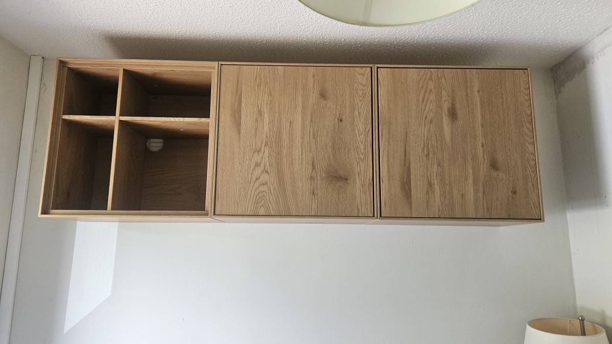 SOS property maintenance - Dublin - Ceiling Fan
