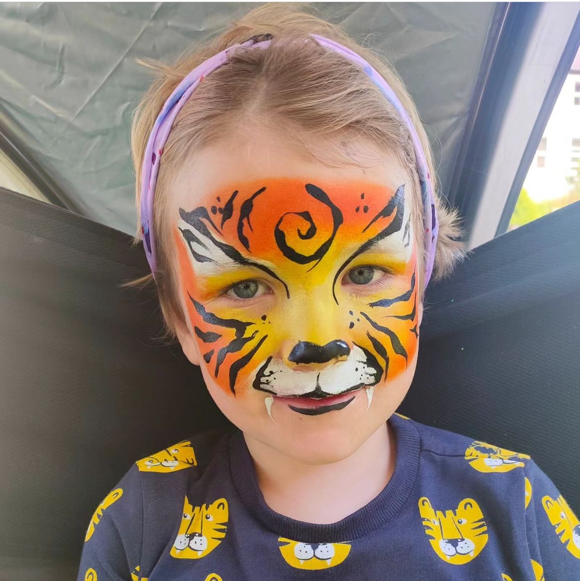 Silly Cat Face Painting - Limerick - Entertainment