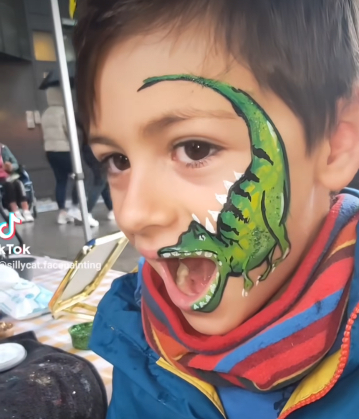 Silly Cat Face Painting - Limerick - Entertainment