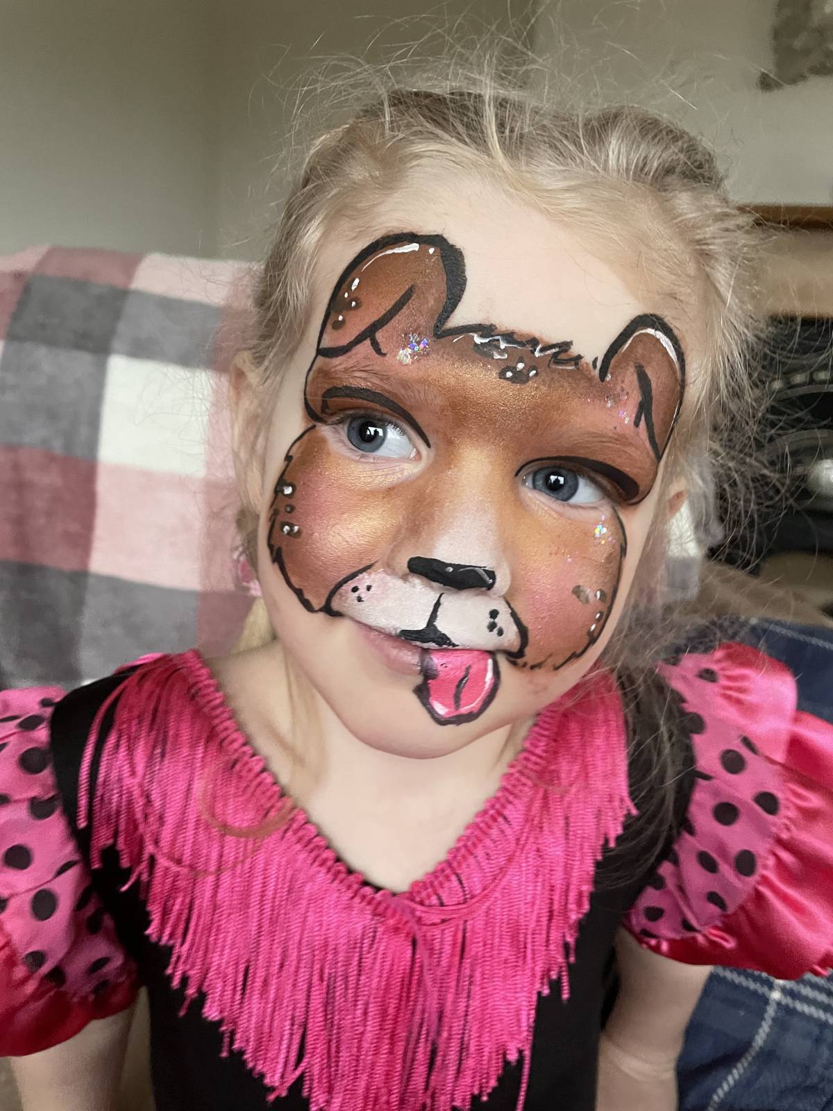 Silly Cat Face Painting - Limerick - Entretenimiento