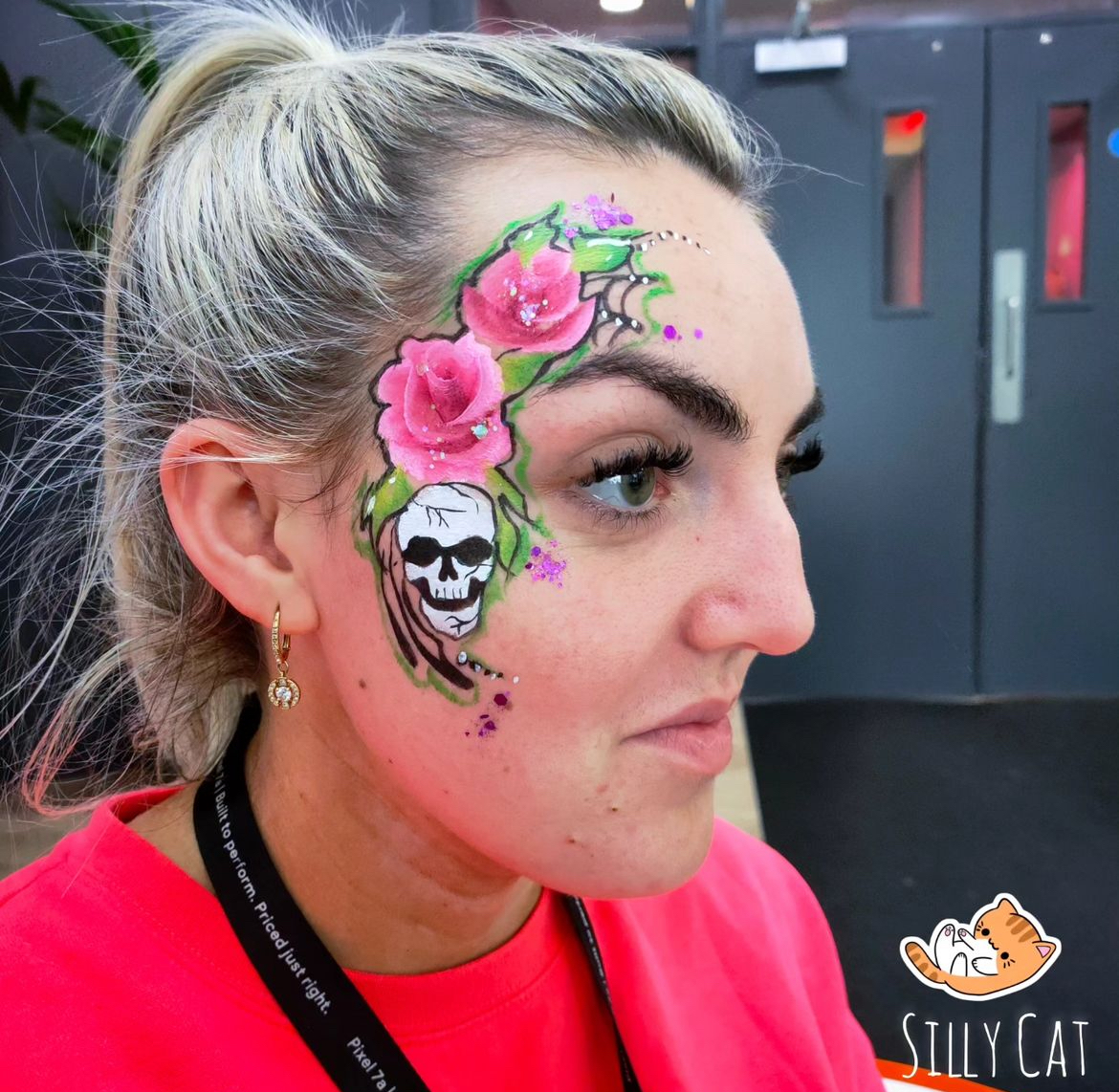 Silly Cat Face Painting - Limerick - Entretenimiento