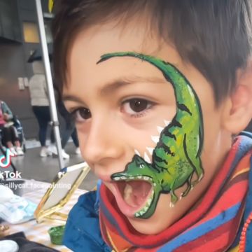 Silly Cat Face Painting - Limerick - Servicios de entretenimiento
