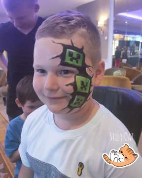 Silly Cat Face Painting - Limerick - Entertainment