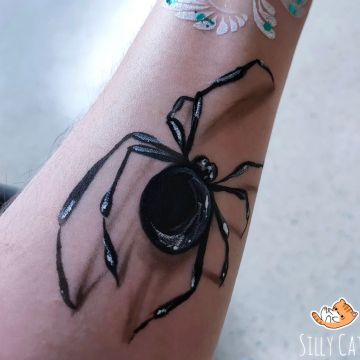 Silly Cat Face Painting - Limerick - Servicios de entretenimiento