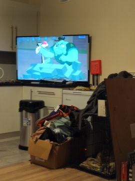 TV Mounting Specialist