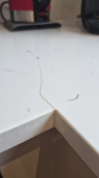Countertop Repair or Maintenance