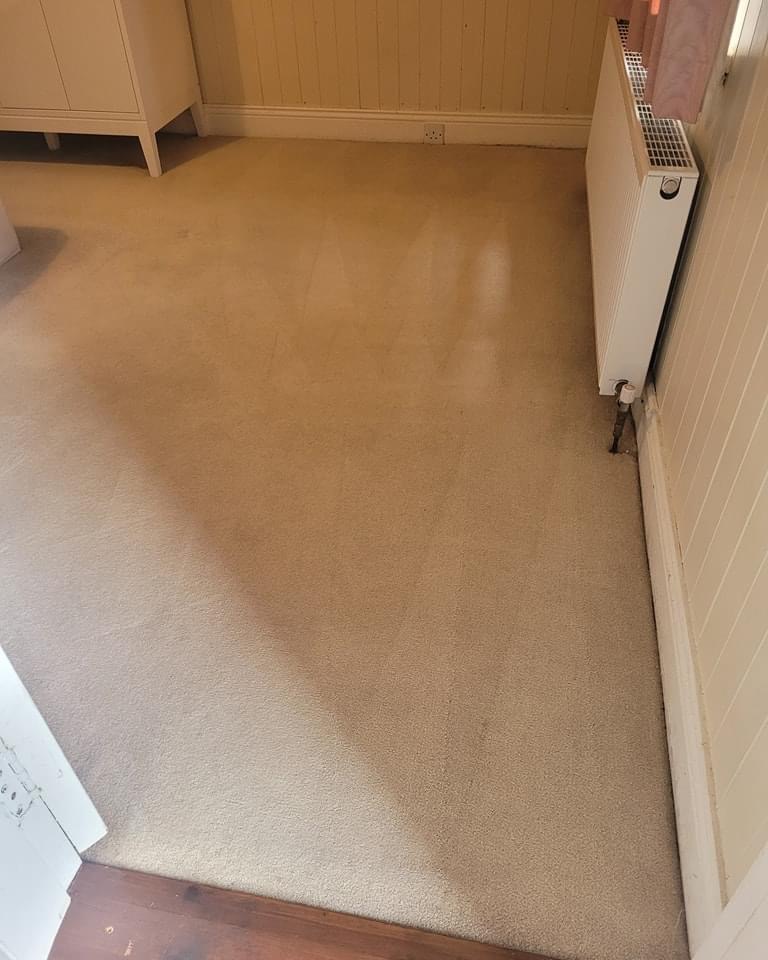 VKA Carpet&Upholstery cleaning - Wexford - Geruchsbeseitigung