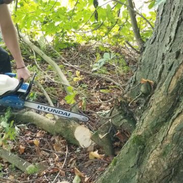 Mow Man - Kilkenny - Baby Gate Assembly and Installation