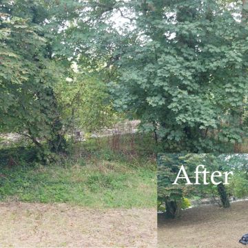 Mow Man - Kilkenny - Seeding