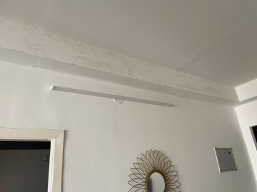 Mold Inspection and Removal