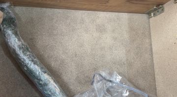 Mold Removal Expert