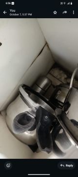 Mold Inspection and Removal