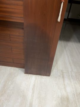 Mold Inspection and Removal