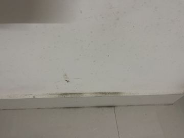 Mold Removal Expert