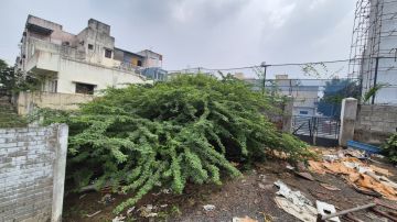 Land clearance specialist