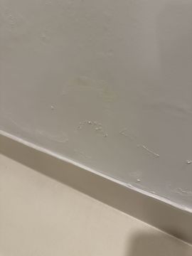 Cleaning - Domestic Services