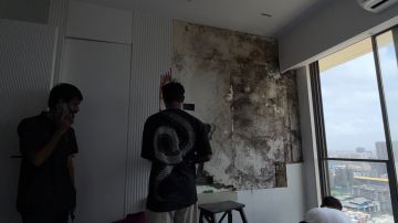 Mold Removal Expert