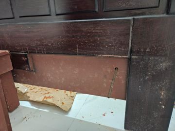 Mold Inspection and Removal