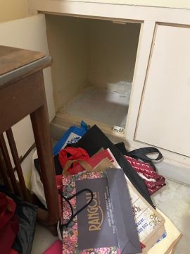 Mold Removal Expert - Domestic Services