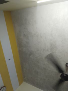 Mold Removal Expert