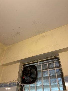 Cleaning - Domestic Services