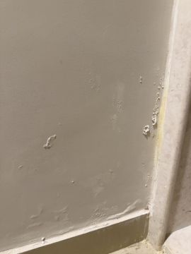 Mold Inspection and Removal - Cleaning