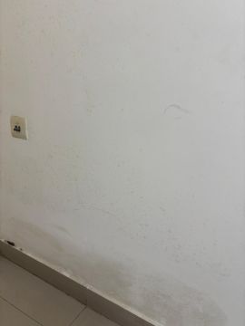 Mold Inspection and Removal - Cleaning