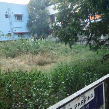 Land clearance specialist