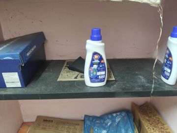 Mold Removal Expert