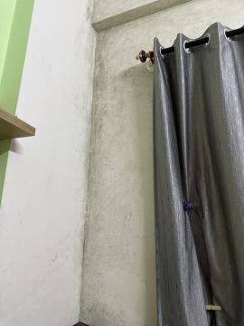 Mold Removal Expert