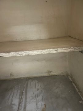 Mold Removal Expert
