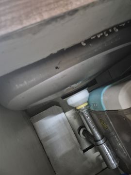 Mold Removal Expert
