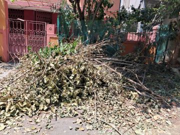 Waste Removal Specialist