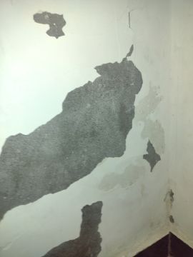Mold Inspection and Removal