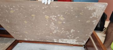 Mold Inspection and Removal