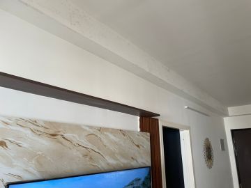 Mold Inspection and Removal - Cleaning