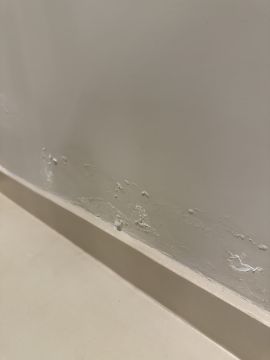 Mold Inspection and Removal