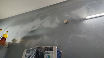 Mold Inspection and Removal